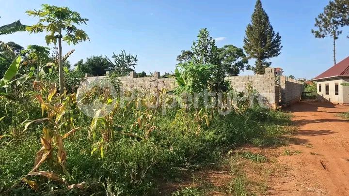 Land for sale Kira road  Kira Wakiso Central - 4