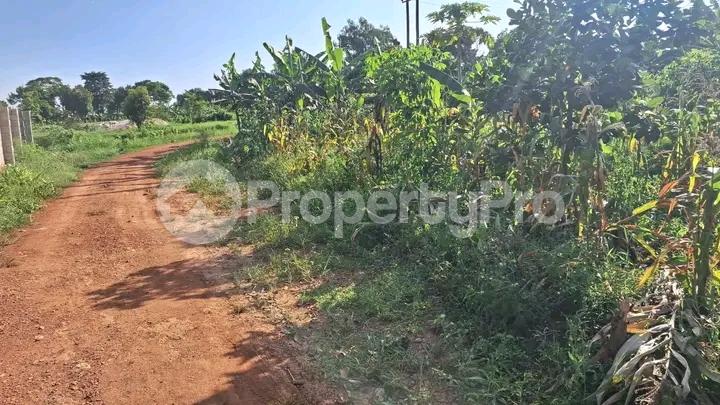 Land for sale Kira road  Kira Wakiso Central - 3