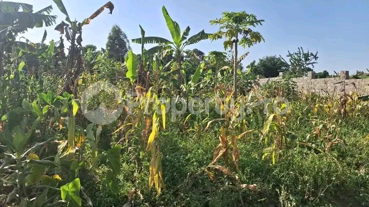 Land for sale Kira road  Kira Wakiso Central - 0