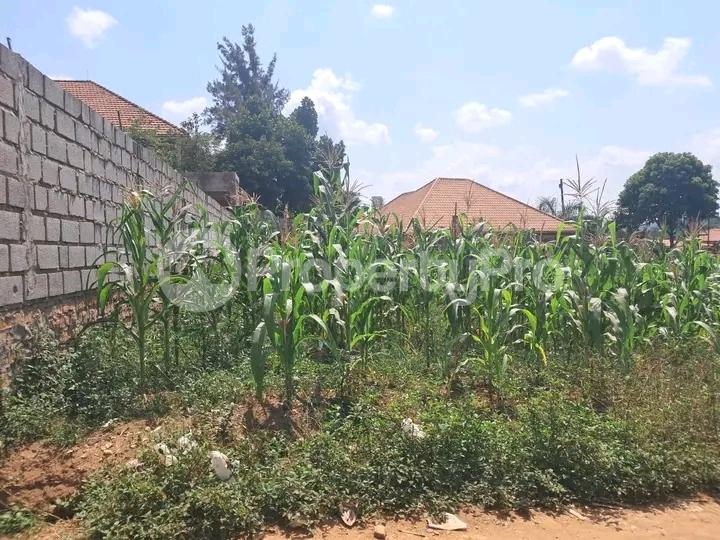 Land for sale Namugongo road  Kampala Central Kampala Central - 4