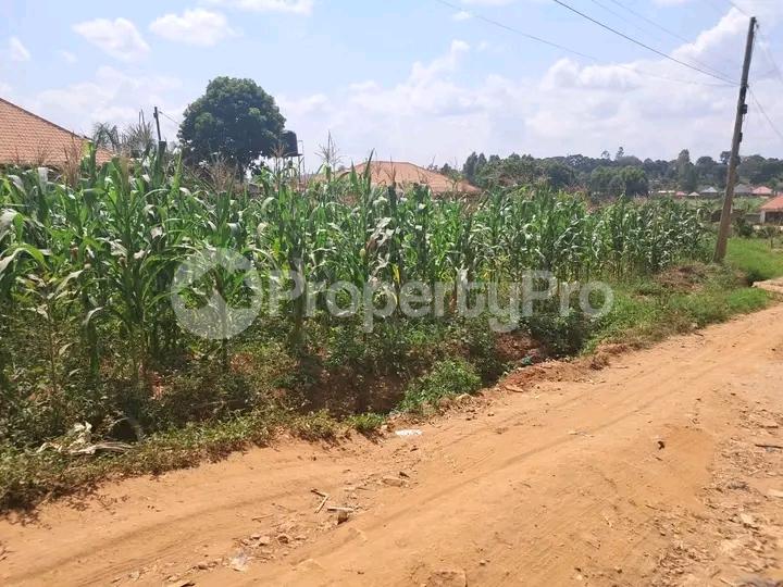 Land for sale Namugongo road  Kampala Central Kampala Central - 2