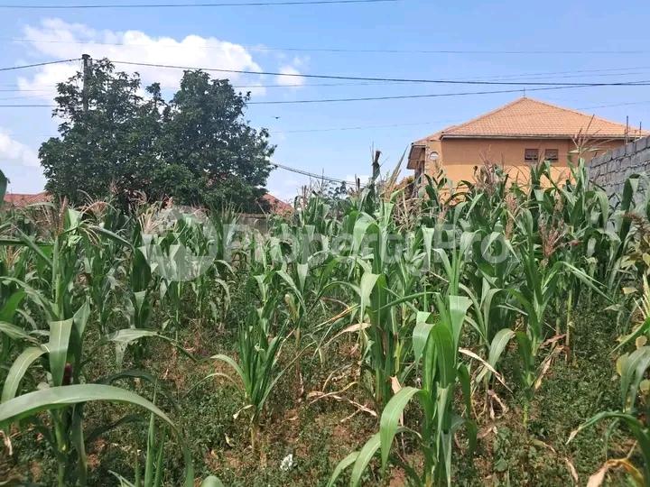Land for sale Namugongo road  Kampala Central Kampala Central - 5