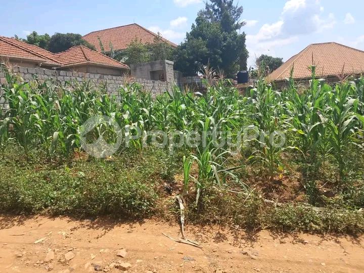 Land for sale Namugongo road  Kampala Central Kampala Central - 3