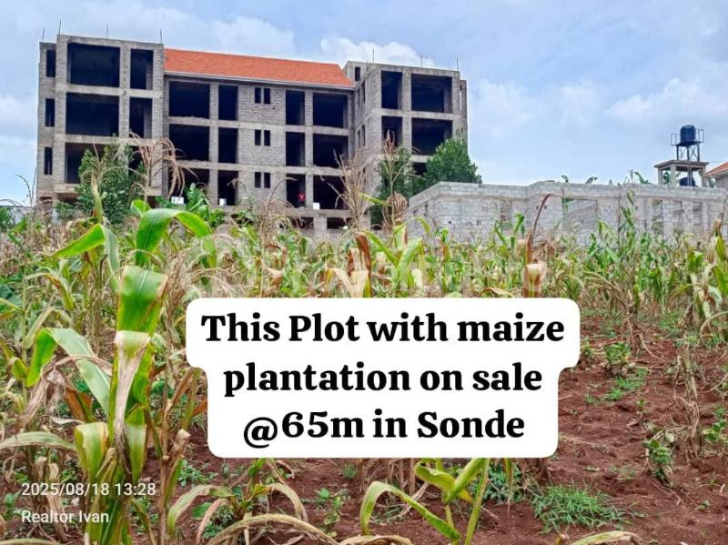 Land for sale Namugongo sonde  Goma Mukono Central - 2