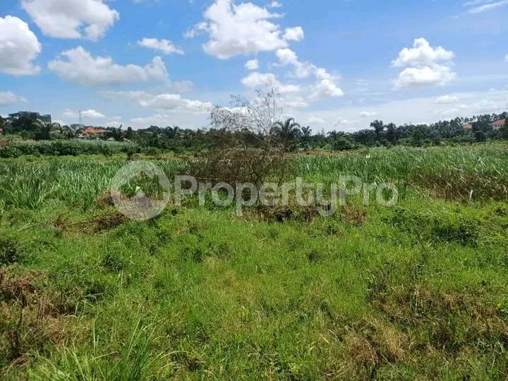 Land for sale Najjera  Kampala Central - 2