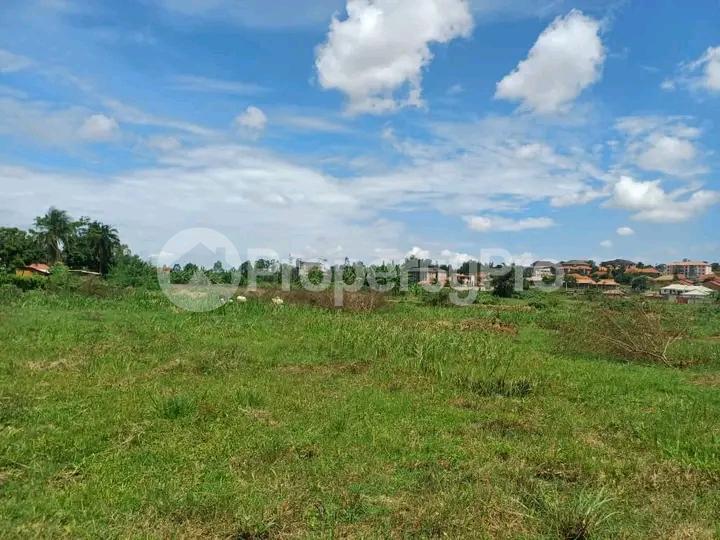 Land for sale Najjera  Kampala Central - 5