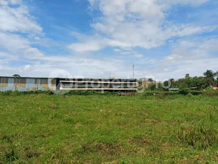 Land for sale Najjera  Kampala Central - 4