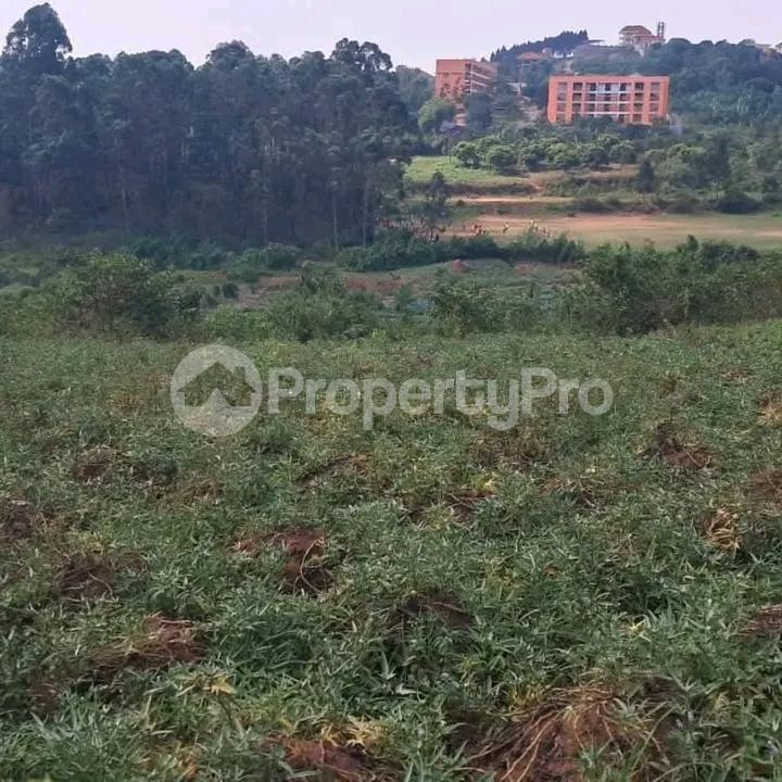 Land for sale Namugongo  Kampala Central - 3