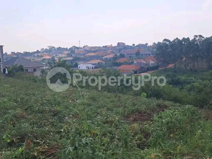 Land for sale Namugongo  Kampala Central - 4