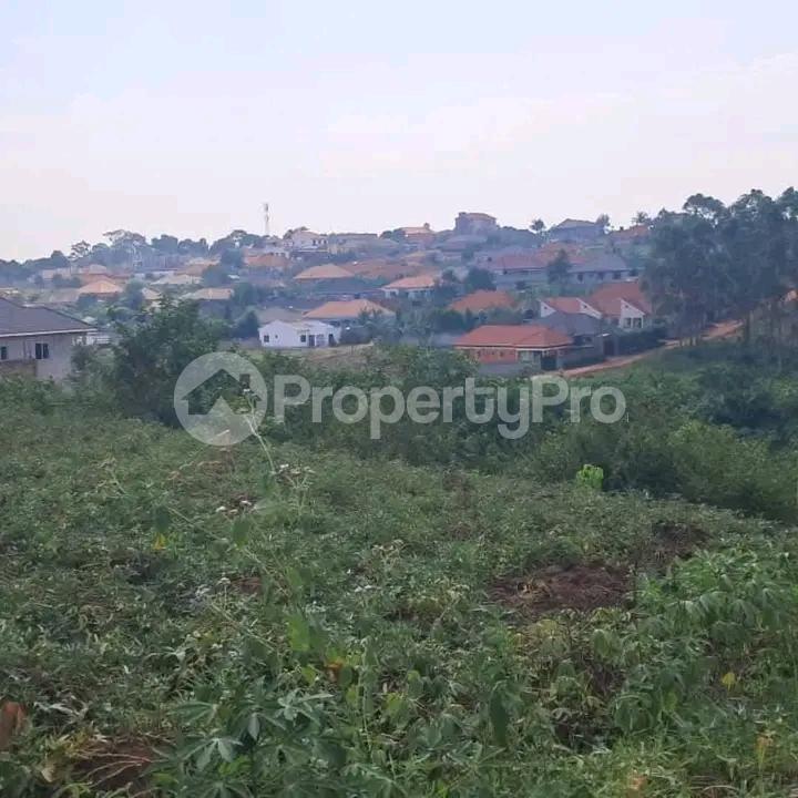Land for sale Namugongo  Kampala Central - 4