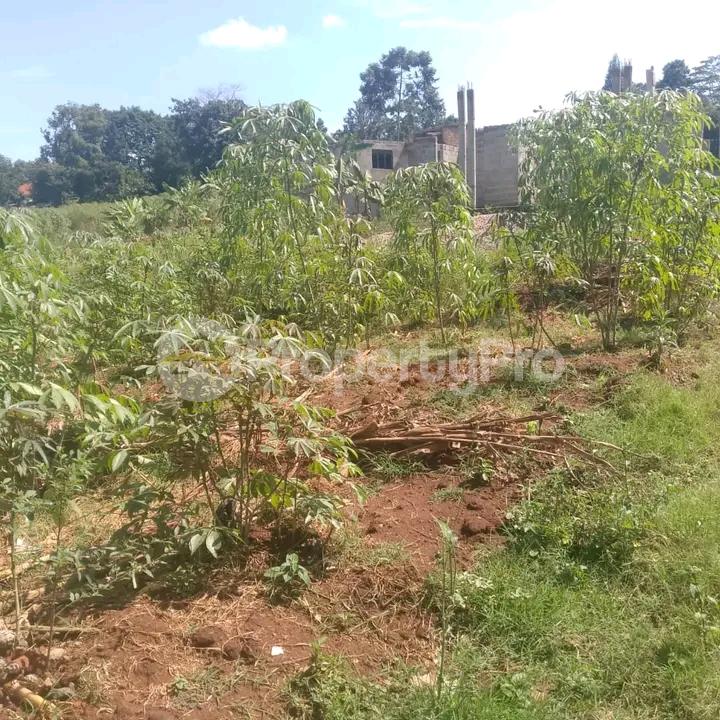 Land for sale Sonde  Kampala Central Kampala Central - 3
