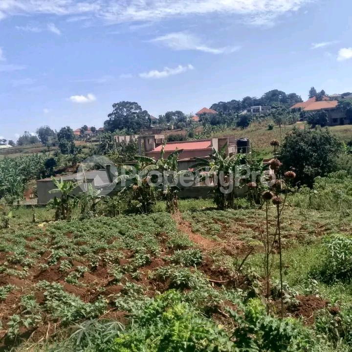 Land for sale Namugongo  Kampala Central - 4