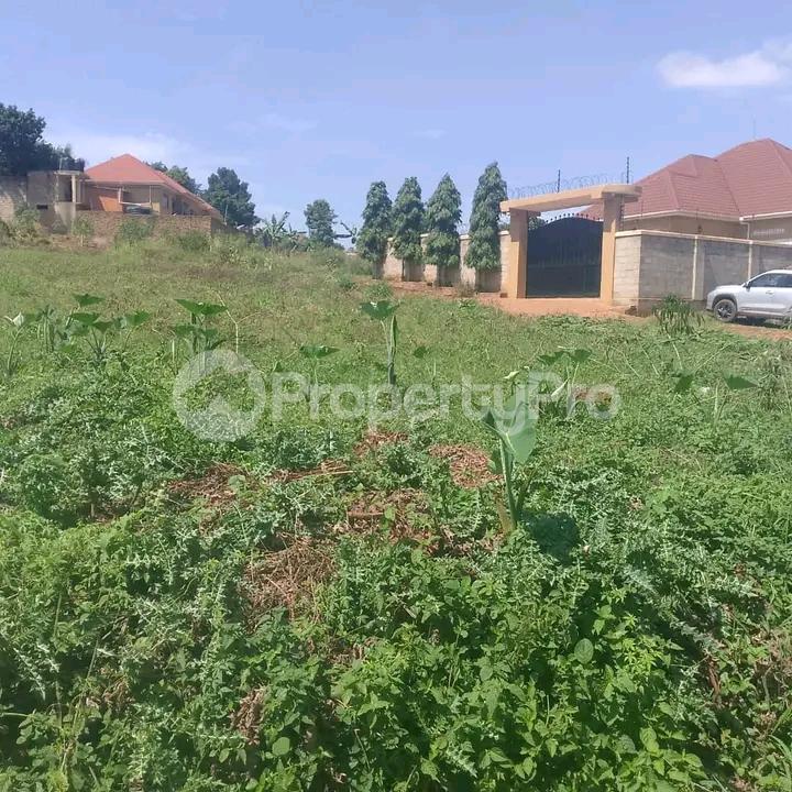 Land for sale Namugongo  Kampala Central - 2
