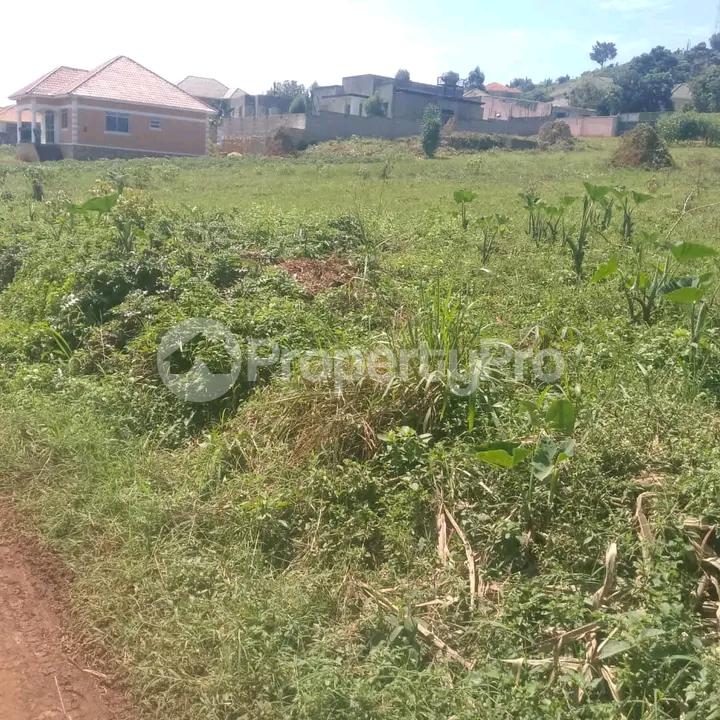 Land for sale Namugongo  Kampala Central - 3