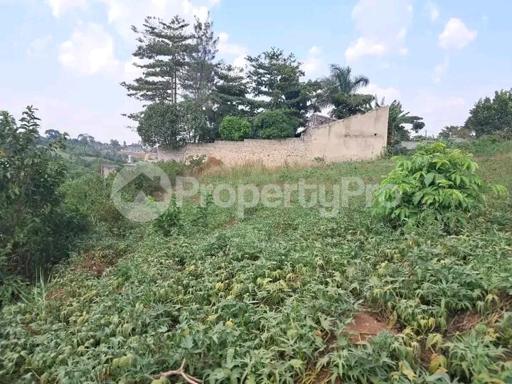 Land for sale Namugongo  Wakiso Central - 5