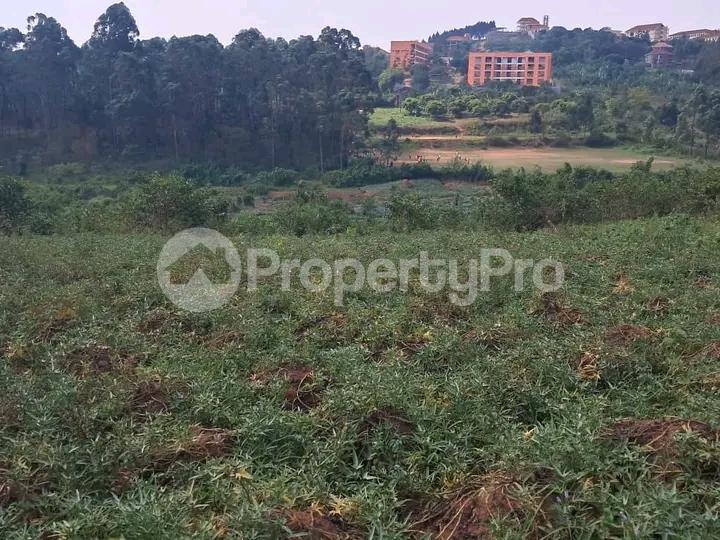Land for sale Namugongo  Wakiso Central - 7