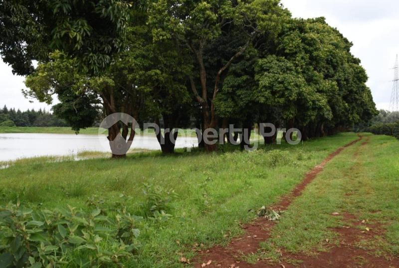 Land for sale Juja Kiambu