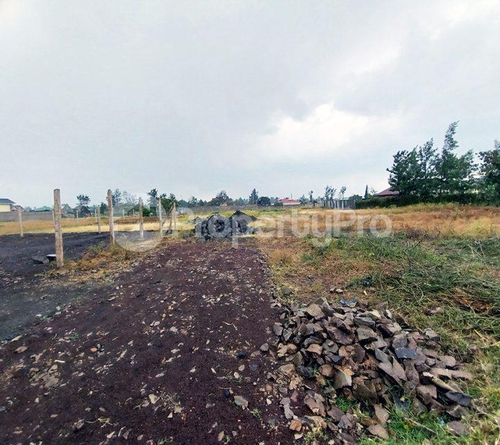 Land for sale Kamakis Ruiru