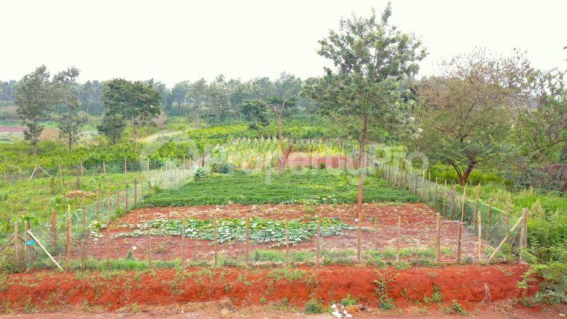 Land for sale Ruiru Kiambu - 0