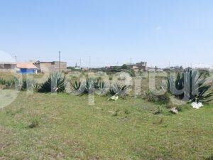 Land for sale Juja Kiambu