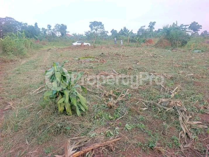 Land for sale Kira nakassaja Kampala Central Kampala Central - 3