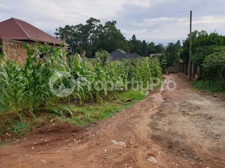 Land for sale Namugongo road  Kampala Central Kampala Central - 0
