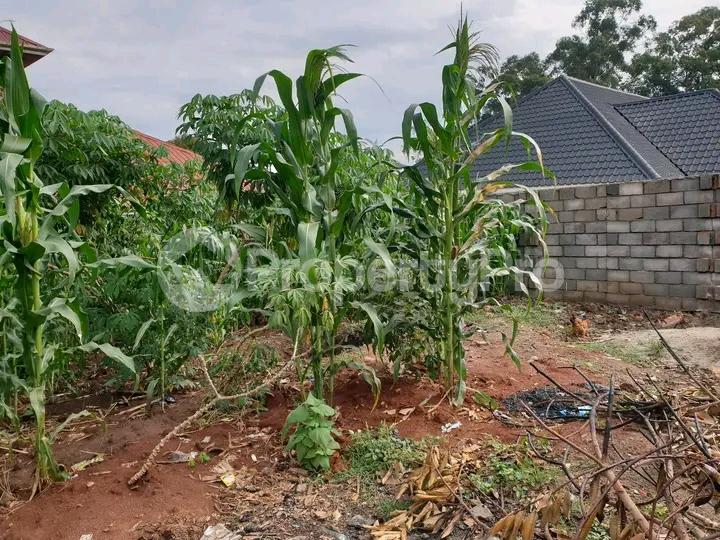 Land for sale Namugongo road  Kampala Central Kampala Central - 4