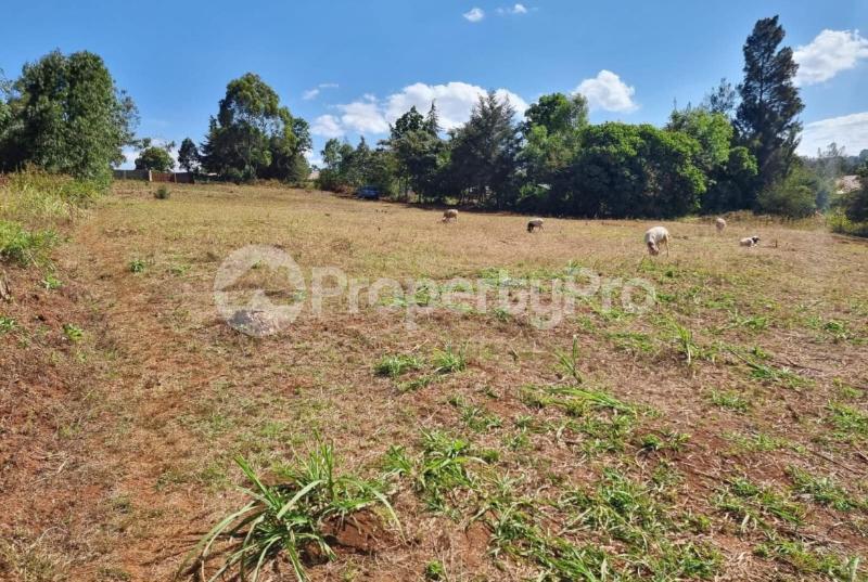 Land for sale Kikuyu Kiambu