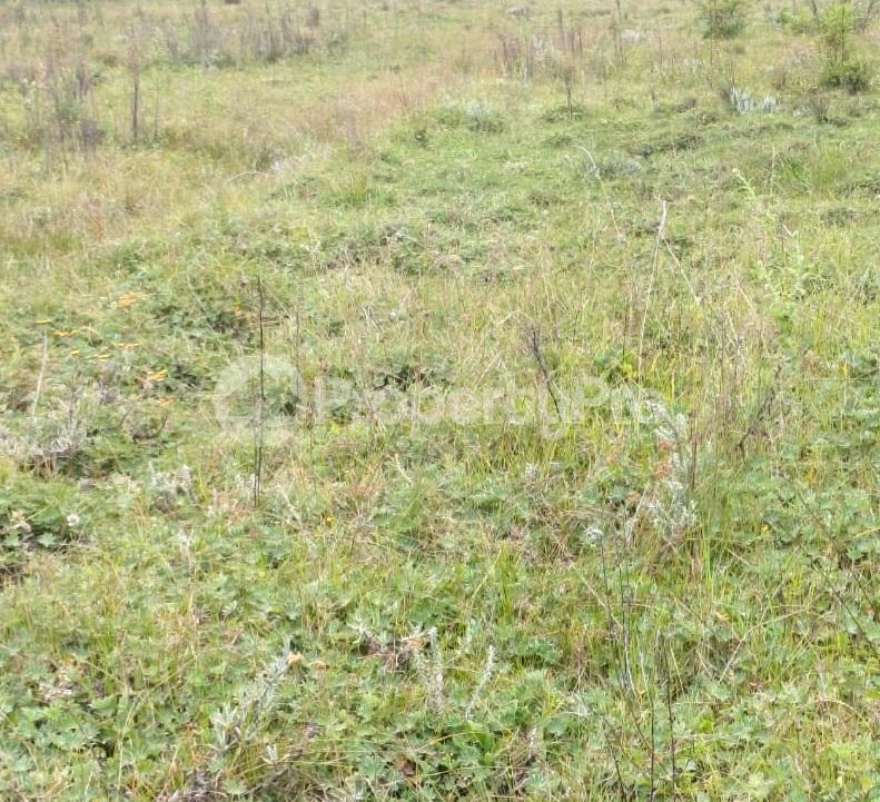 Land for sale Loresho Nairobi - 0