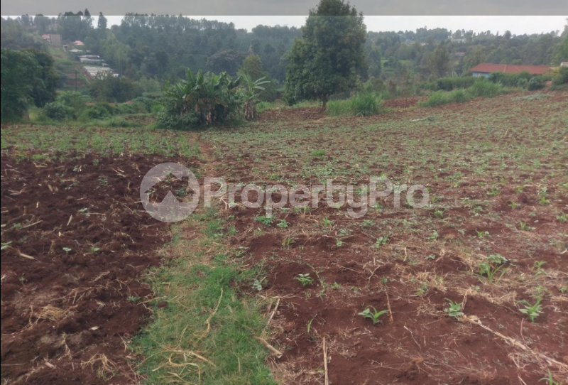 Land for sale Githiga (Githunguri) Kiambu (PID 5ADJY) PropertyPro