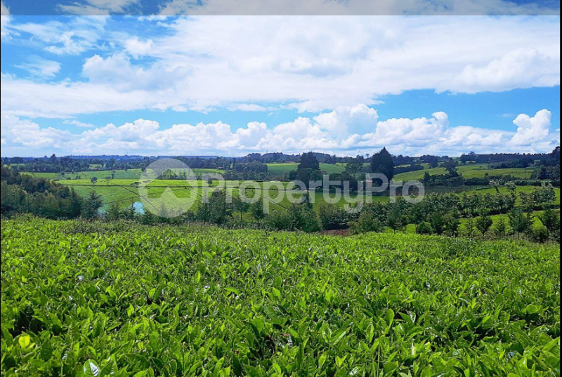 Land for sale Tigoni Limuru (PID 4ADKP) PropertyPro