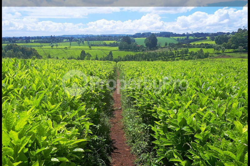 Land for sale Tigoni Limuru (PID 4ADKP) PropertyPro