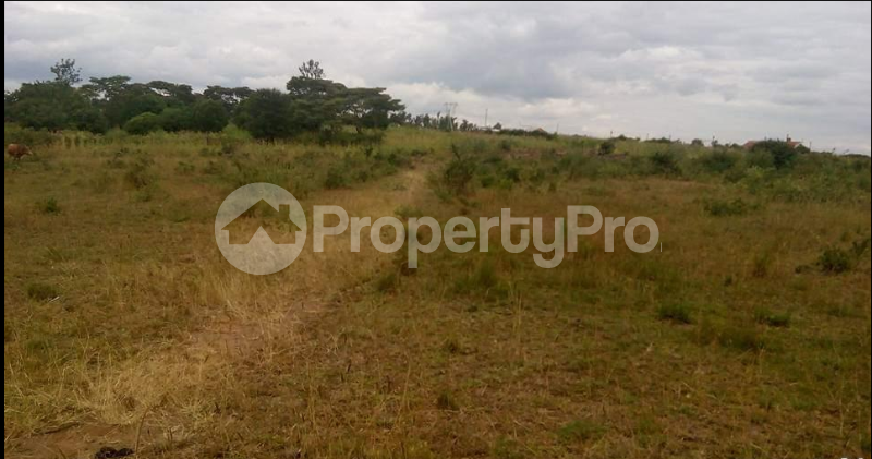 Land for sale -  Nanyuki Nanyuki - 0