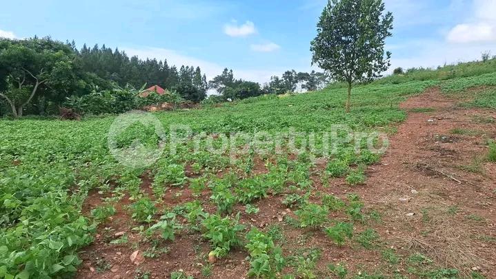 Land for sale Busika kalagala Wakiso Central - 1