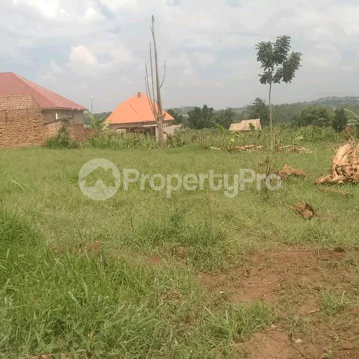 Land for sale Gayaza road  Gayaza Wakiso Central - 3