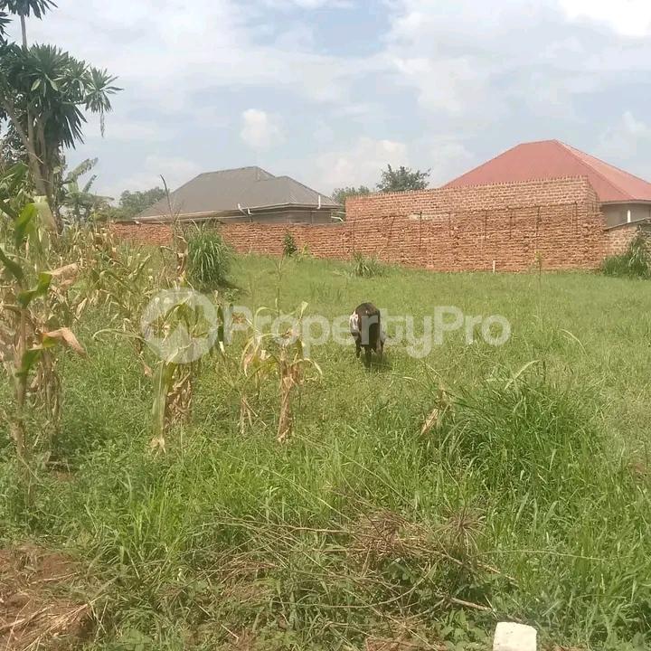 Land for sale Gayaza road  Gayaza Wakiso Central - 2
