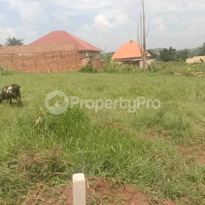 Land for sale Gayaza road  Gayaza Wakiso Central - 4