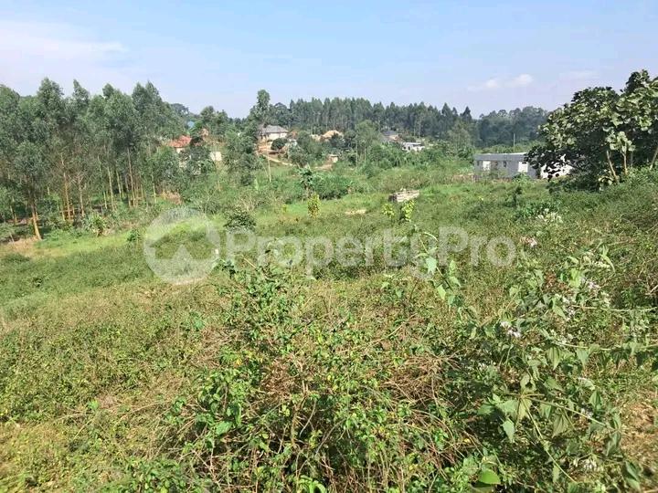 Land for rent Kasangati road  Kampala Central Kampala Central - 4