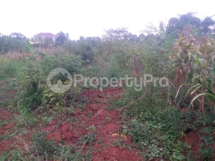 Land for sale Namugongo  Kampala Central - 0