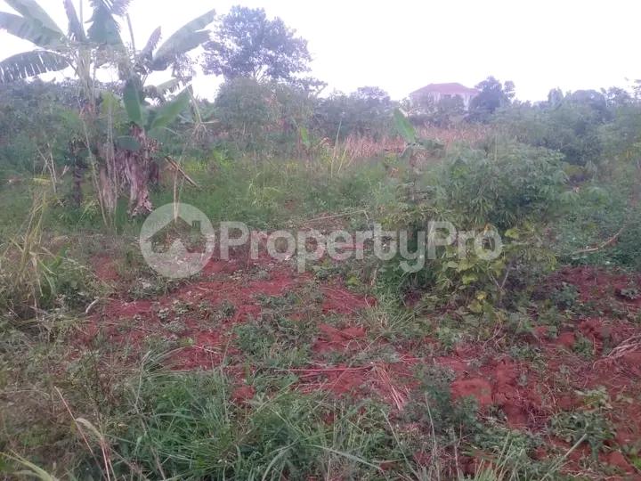Land for sale Namugongo  Kampala Central - 4