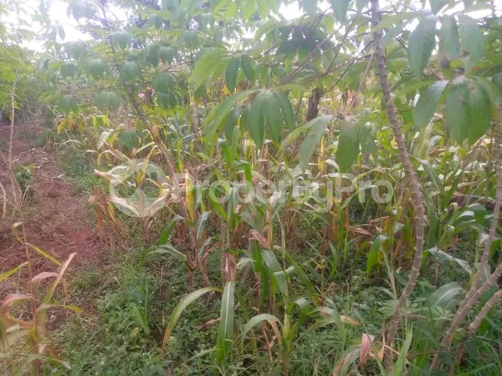 Land for sale Namugongo  Kampala Central - 1