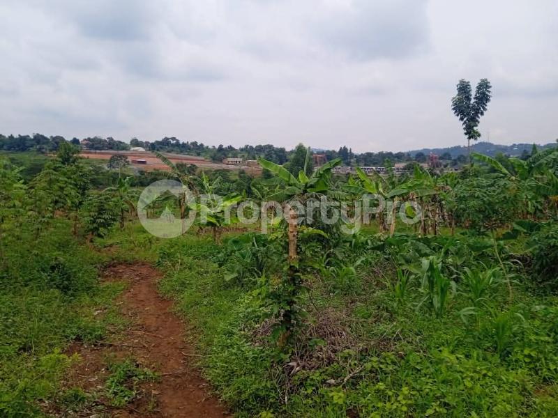 Land for sale Nakasajja Gayaza road  Kalagala Mukono Central - 4