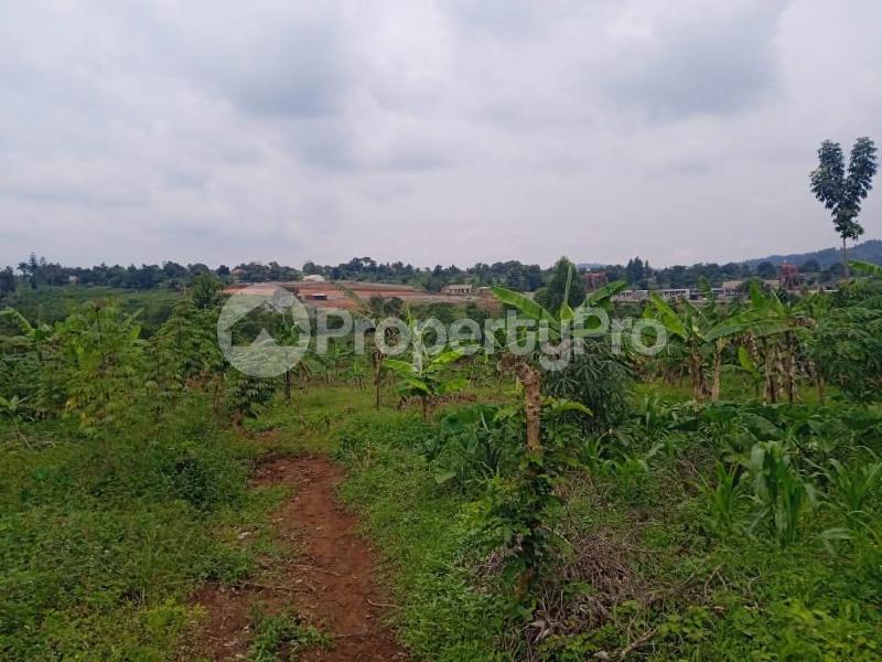 Land for sale Nakasajja Gayaza road  Kalagala Mukono Central - 1