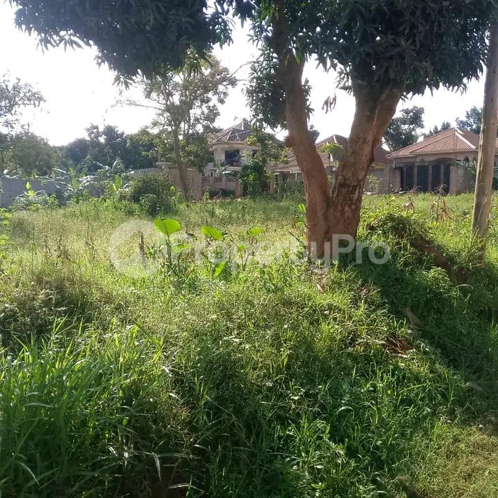 Land for sale Namugongo  Wakiso Central - 3