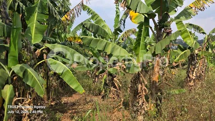 Land for sale Kira  Kampala Central Kampala Central - 1