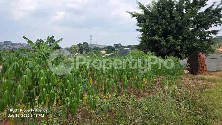 Land for sale Kira  Kampala Central Kampala Central - 3
