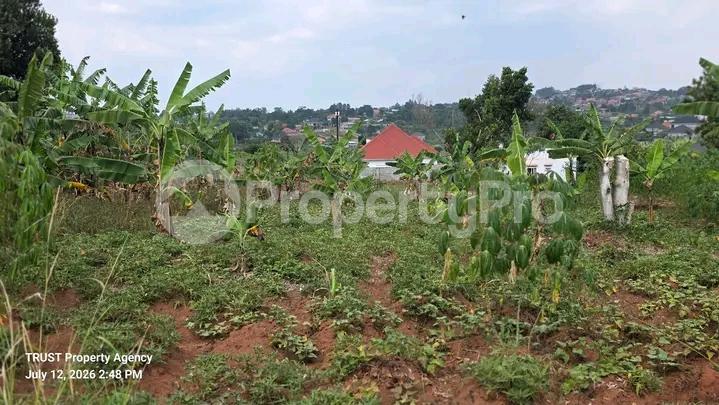 Land for sale Kira  Kampala Central Kampala Central - 4