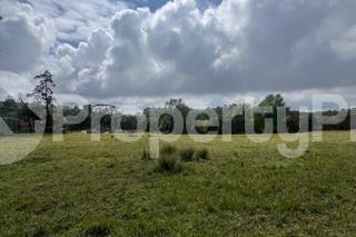 Land for sale Tigoni Limuru