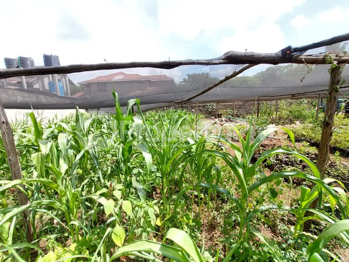 Land for sale Membley Estate Kiambu