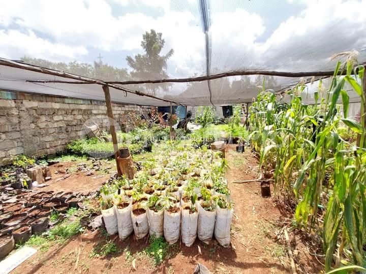 Land for sale Ruiru Kiambu